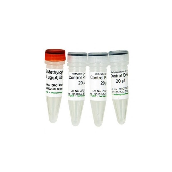 Methylated/Non-Methylated Control DNA & Primer Set